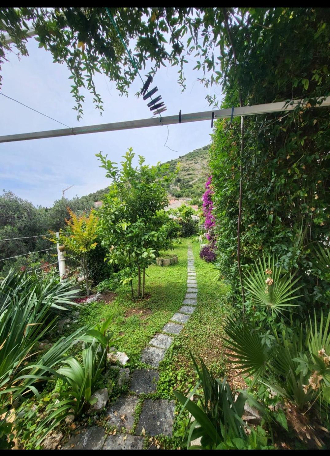 Greengarden Ragusa Esterno foto